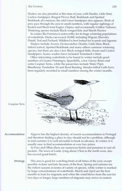 Where to watch Birds in Portugal - The Azores & Madeira Archipelagos - Moore,C. 2020